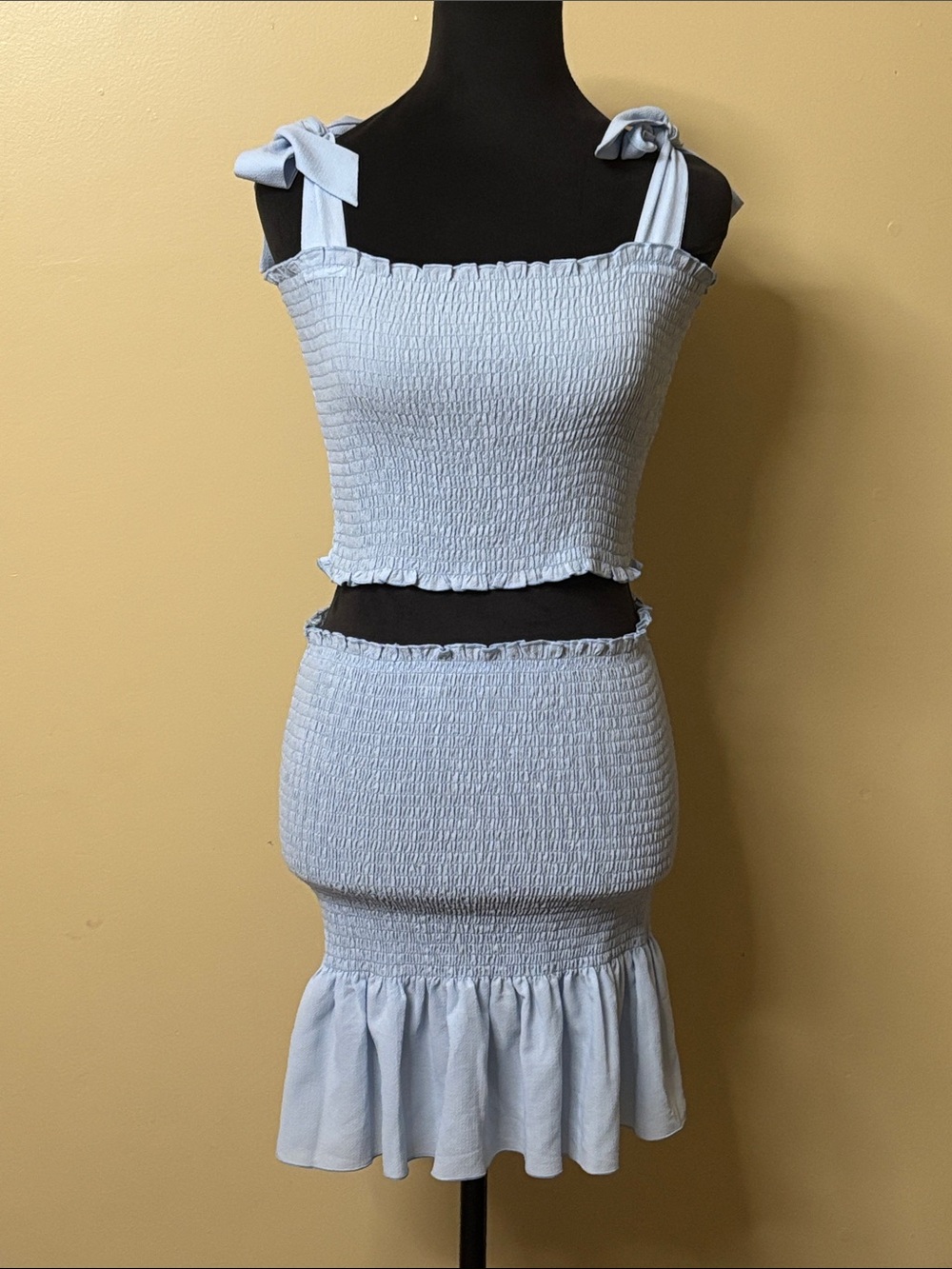 Light Blue Smocked Top and Skirt  Set